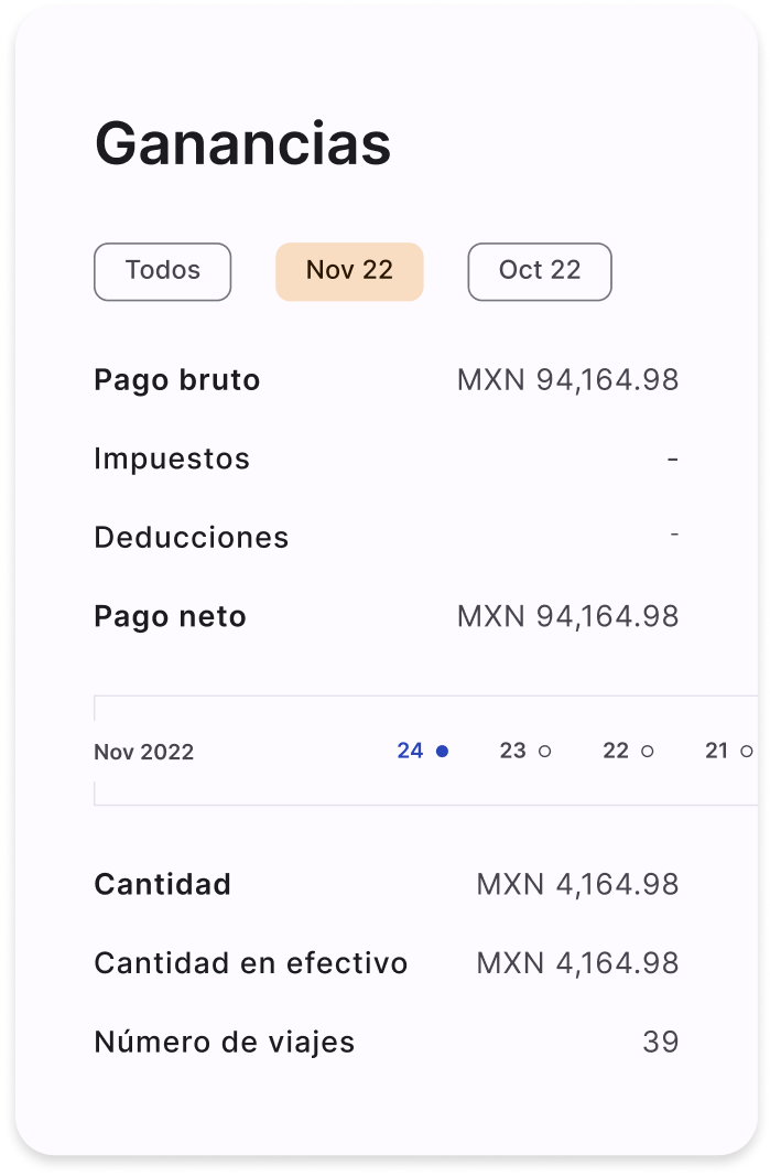 Earnings validation dashboard with income breakdown